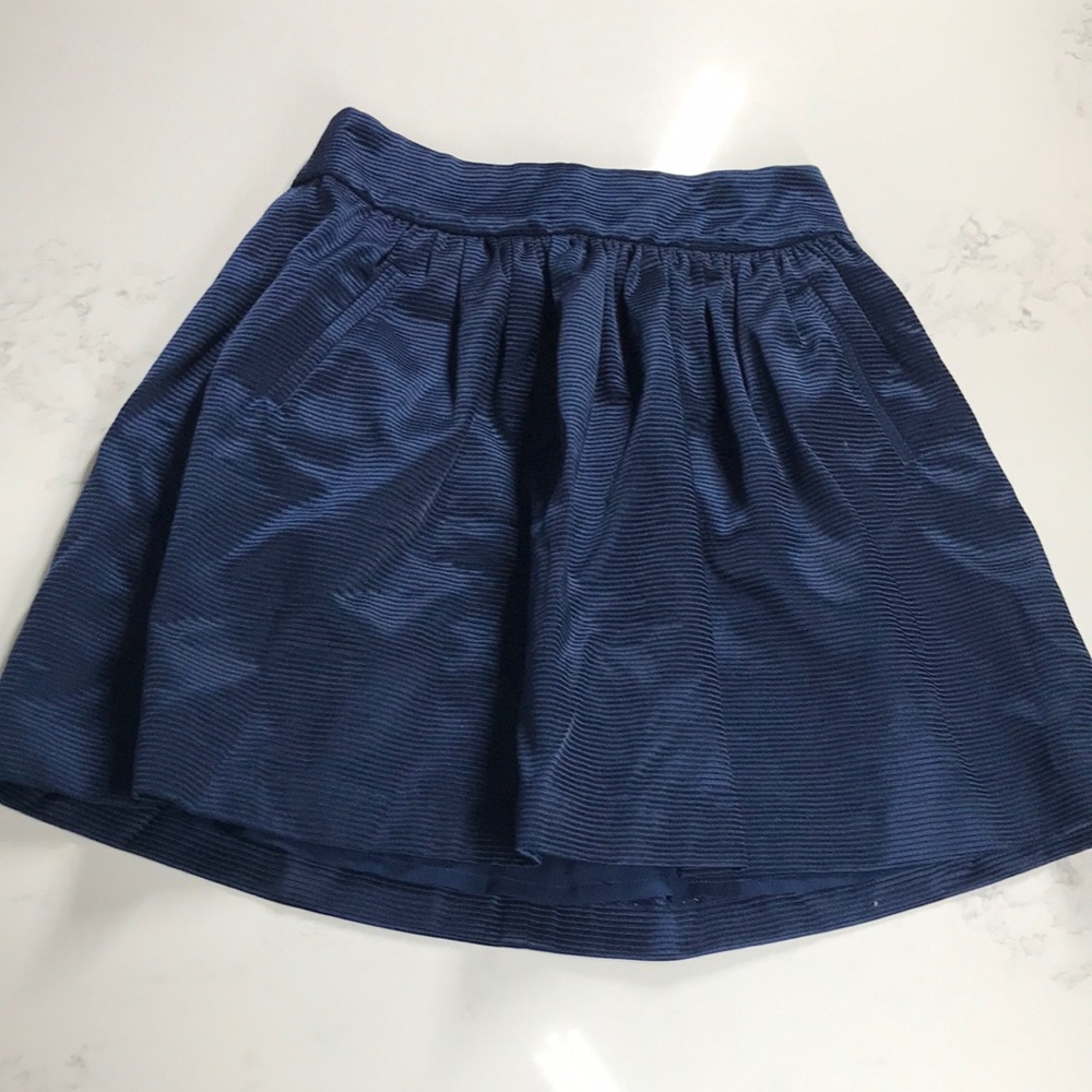 Banana Republic Blue Skirt